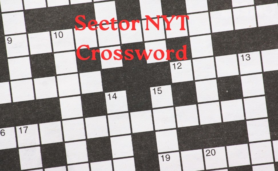 Exploring-the-mysterious-world-of-sector-NYT-Crossword-New-York-Times